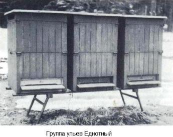 Улей Еднотный Улей Еднотный из натурального дерева