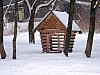 pic55.jpg