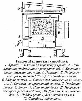 Гнездовой корпус улья Гнездовой корпус улья