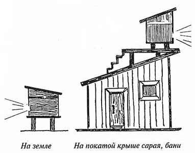 Ульи на крыше сарая Ульи на крыше сарая