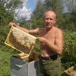 Правила пчеловода. Все о пчелах и пчеловодстве